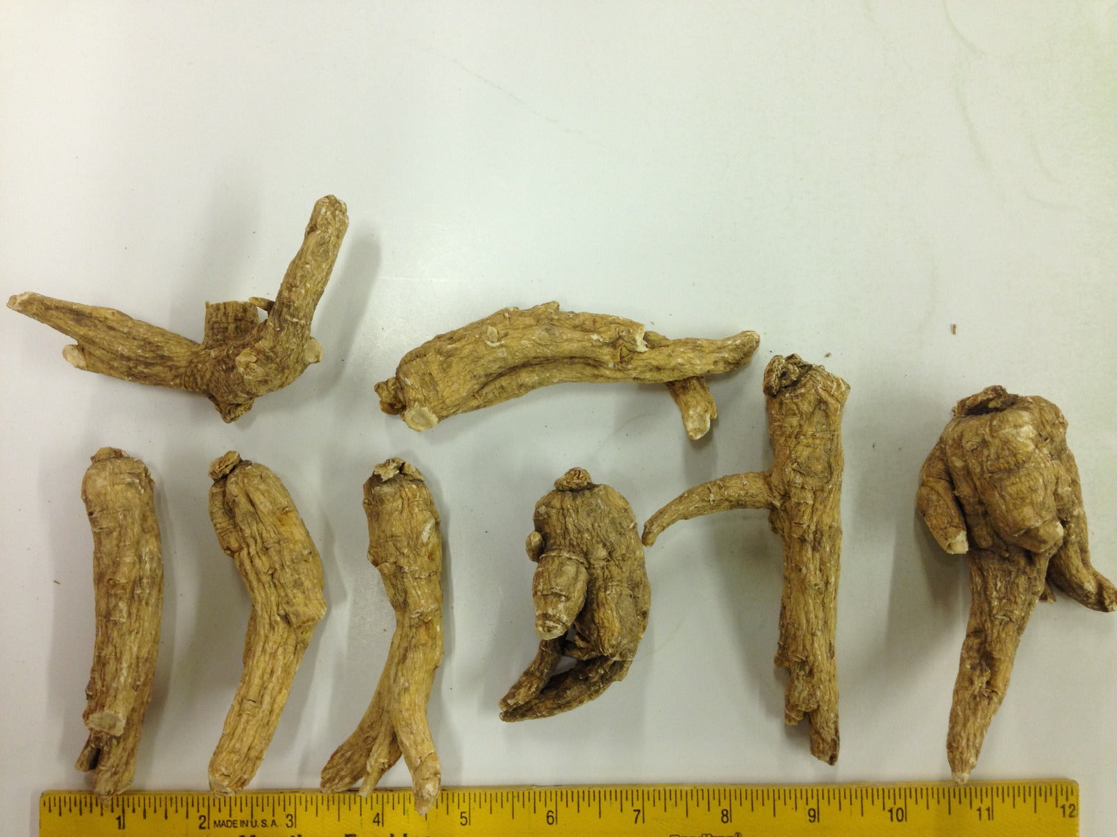 Ungraded American Ginseng Giant Root 8oz bag