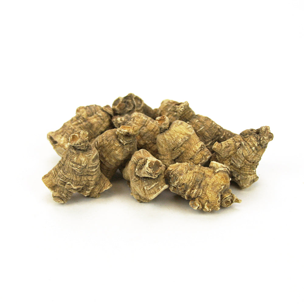 Bullet American Ginseng Jumbo bolsa de 4oz