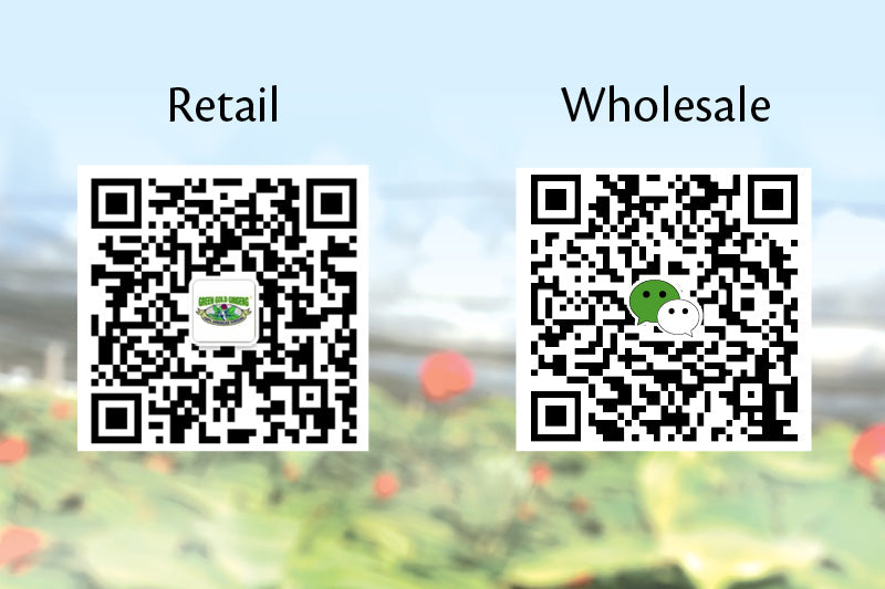 Message Us on Wechat!