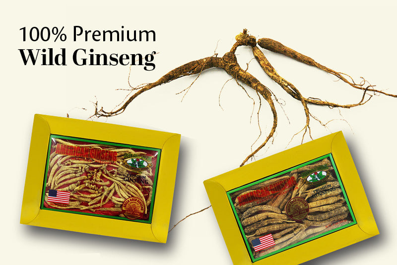 100% Premium Wild Ginseng