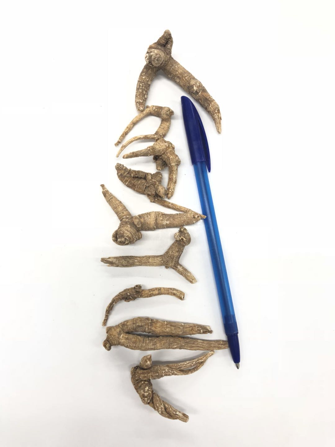 Ungraded American Ginseng Root Dragon Claw 8 oz Bag x 4