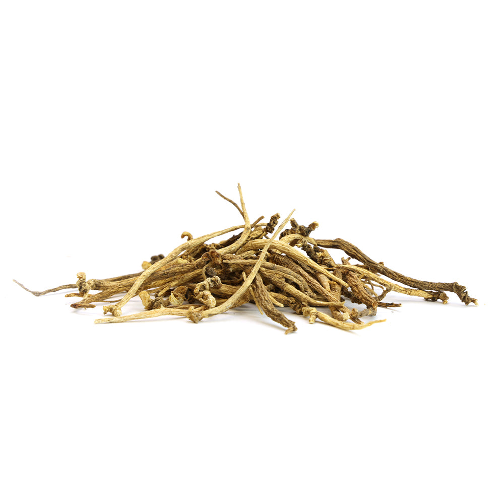 Raíces pequeñas de ginseng americano salvaje 1 oz