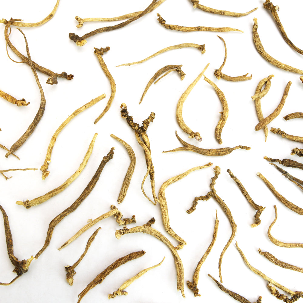 Wild American Ginseng Small Roots 1oz