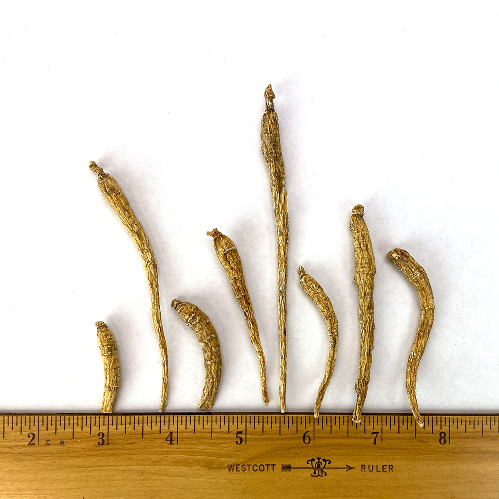Ungraded American Ginseng Root Small # 1 8oz bag